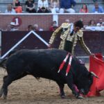 San Sebastián de los Reyes, sábado 31 de agosto de 2019