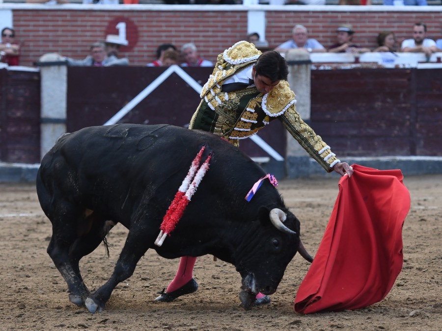 San Sebastián de los Reyes, sábado 31 de agosto de 2019