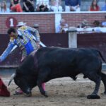 San Sebastián de los Reyes, sábado 31 de agosto de 2019
