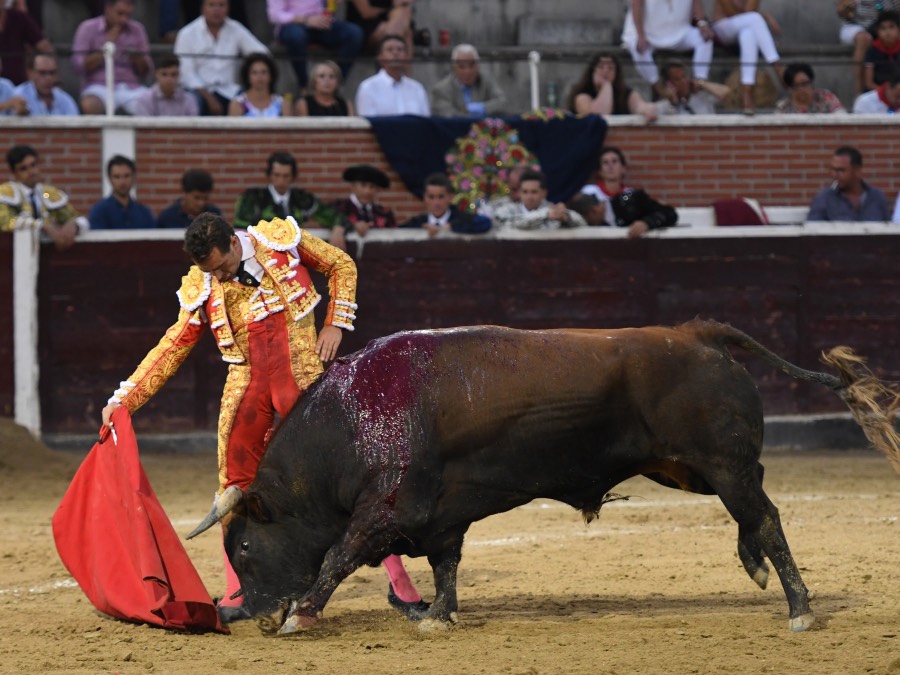 San Sebastián de los Reyes, sábado 31 de agosto de 2019