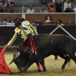 San Sebastián de los Reyes, sábado 31 de agosto de 2019