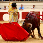 Beziers, domingo 18 de agosto de 2019. Novillada matinal