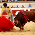 Beziers, domingo 18 de agosto de 2019. Novillada matinal