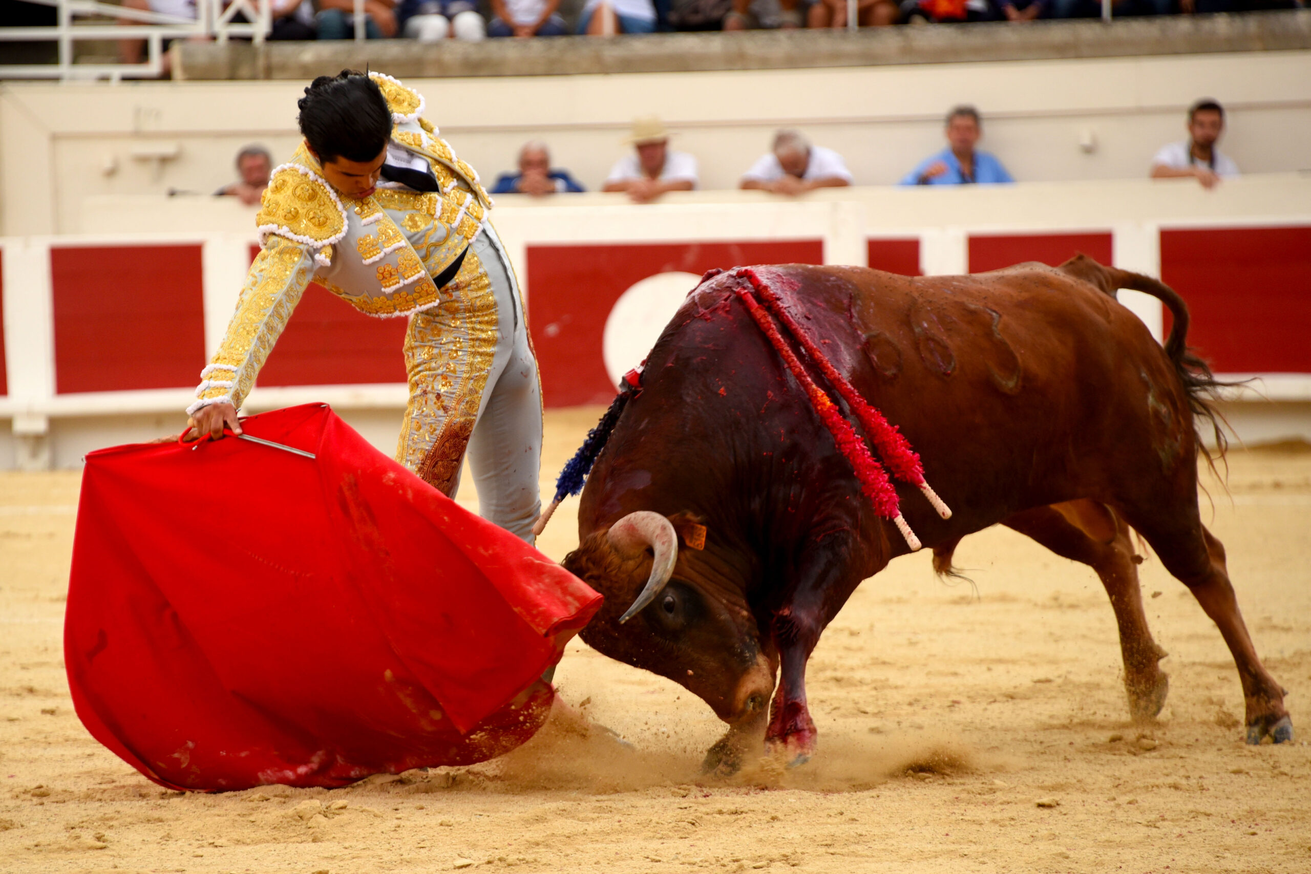 Beziers, domingo 18 de agosto de 2019. Novillada matinal