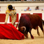 Beziers, domingo 18 de agosto de 2019. Novillada matinal