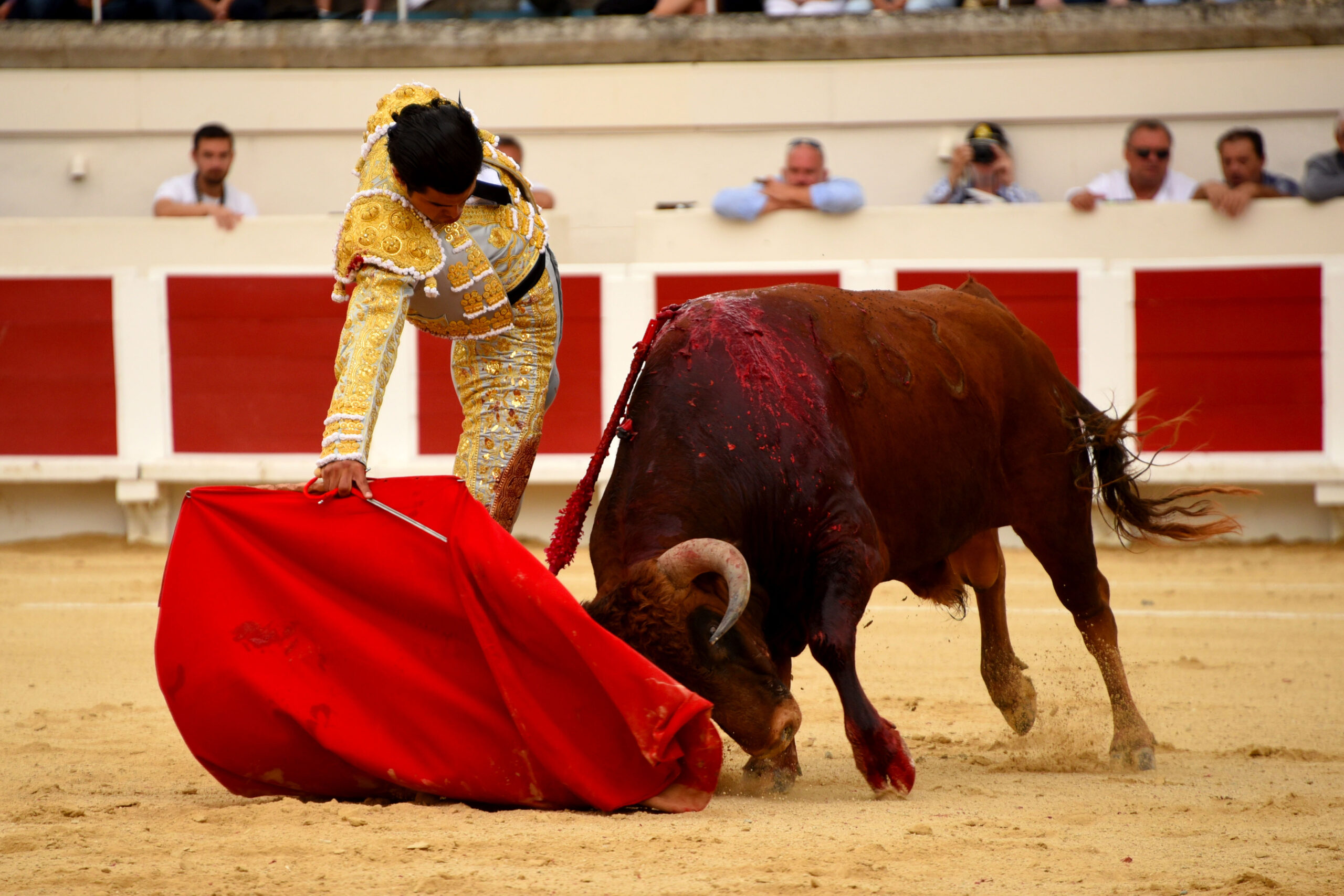 Beziers, domingo 18 de agosto de 2019. Novillada matinal