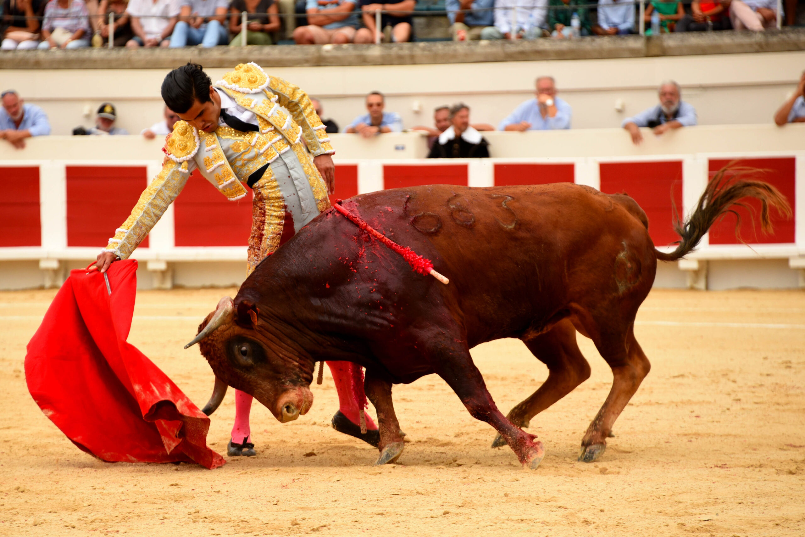 Beziers, domingo 18 de agosto de 2019. Novillada matinal