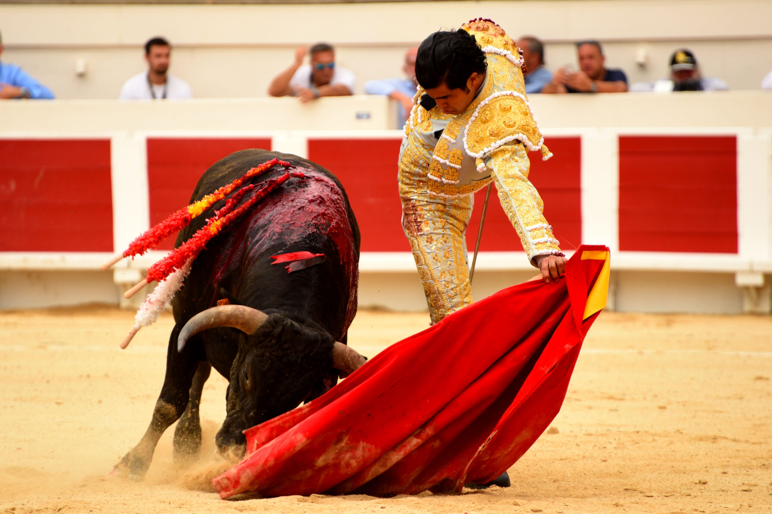 Beziers, domingo 18 de agosto de 2019. Novillada matinal