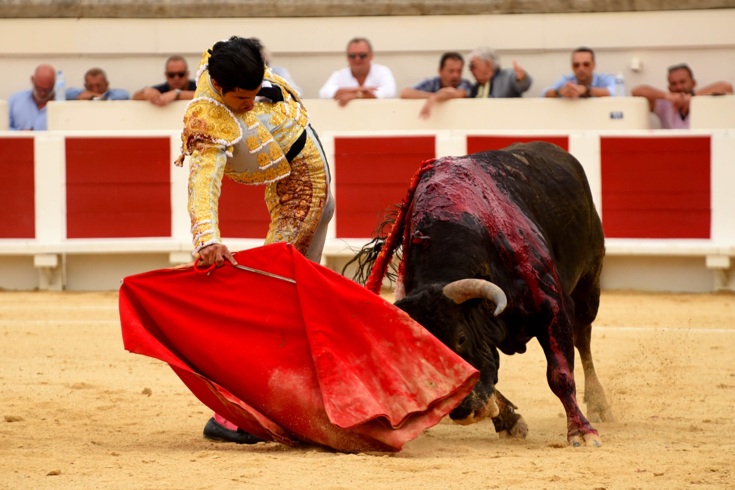 Beziers, domingo 18 de agosto de 2019. Novillada matinal