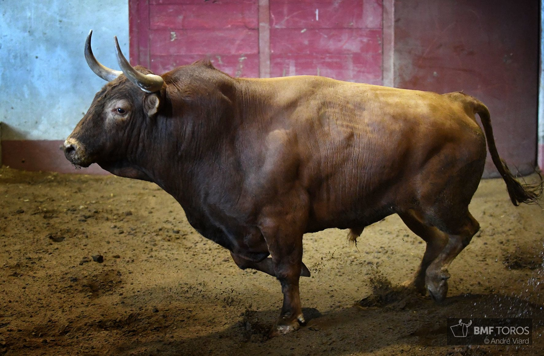 Sorteo. San Sebastián, miércoles 14 de agosto de 2019