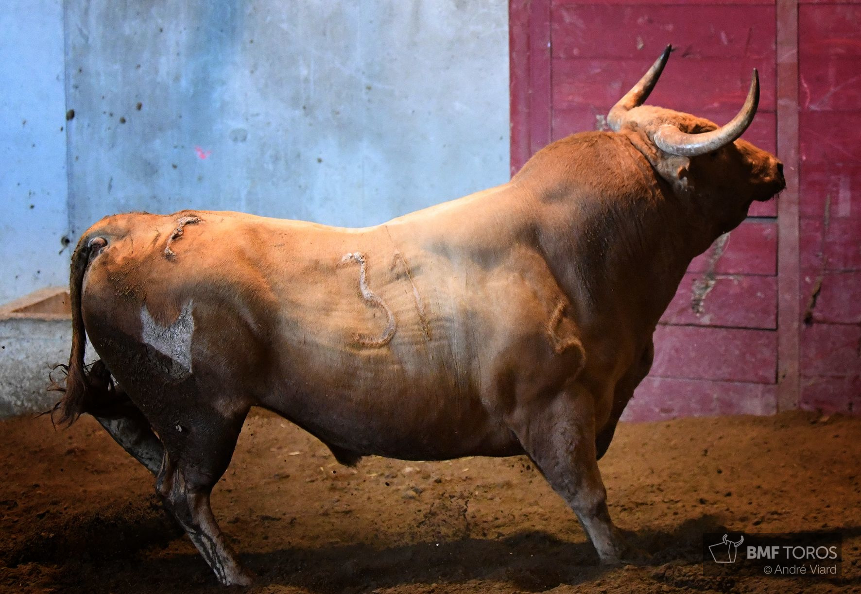 Sorteo. San Sebastián, miércoles 14 de agosto de 2019