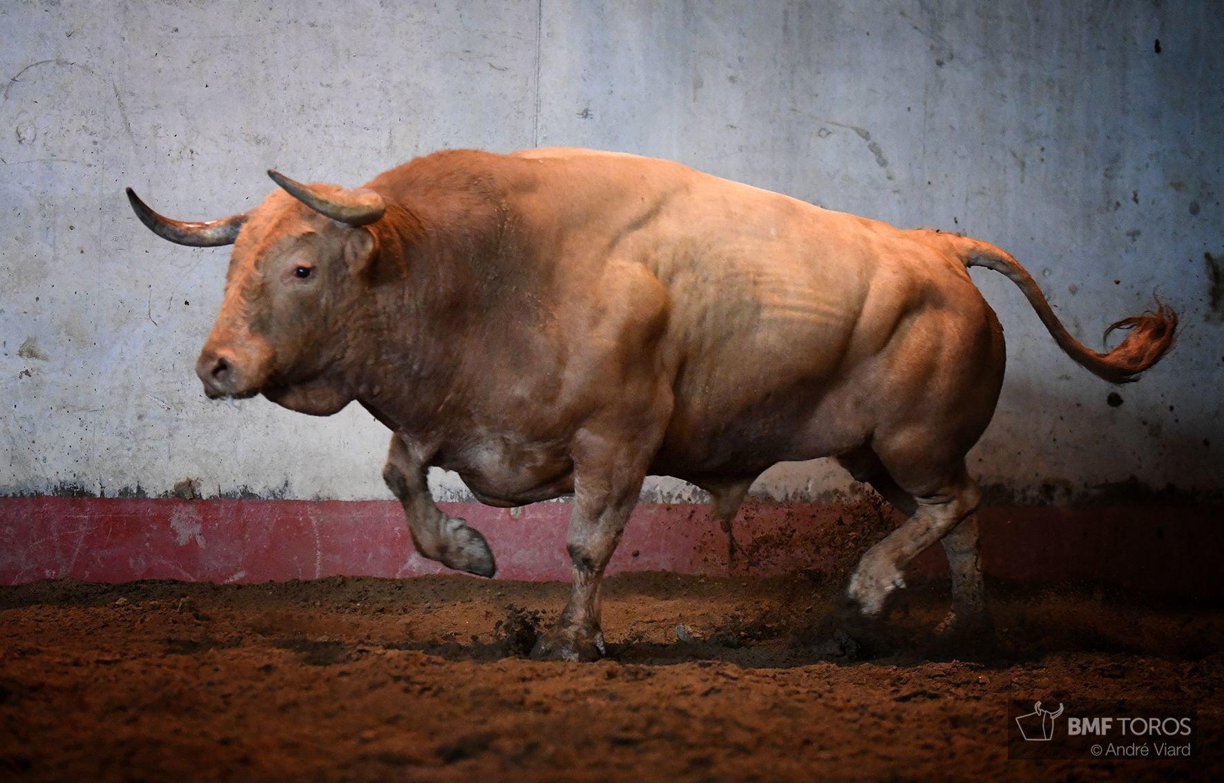 Sorteo. San Sebastián, miércoles 14 de agosto de 2019