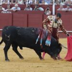 Málaga, miércoles 14 de agosto de 2019