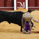 Málaga, miércoles 14 de agosto de 2019
