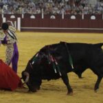 Málaga, miércoles 14 de agosto de 2019