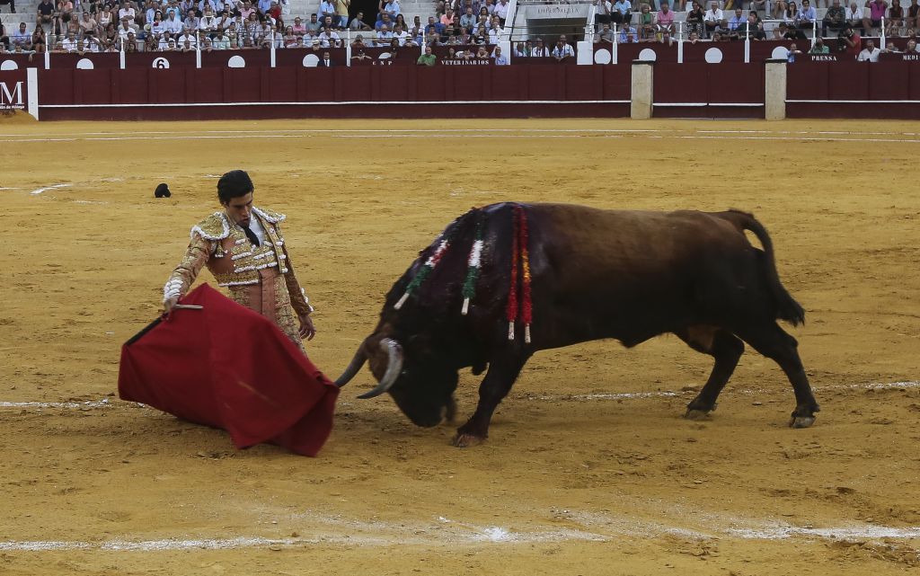 Málaga, miércoles 14 de agosto de 2019