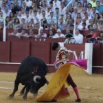 Málaga, miércoles 14 de agosto de 2019