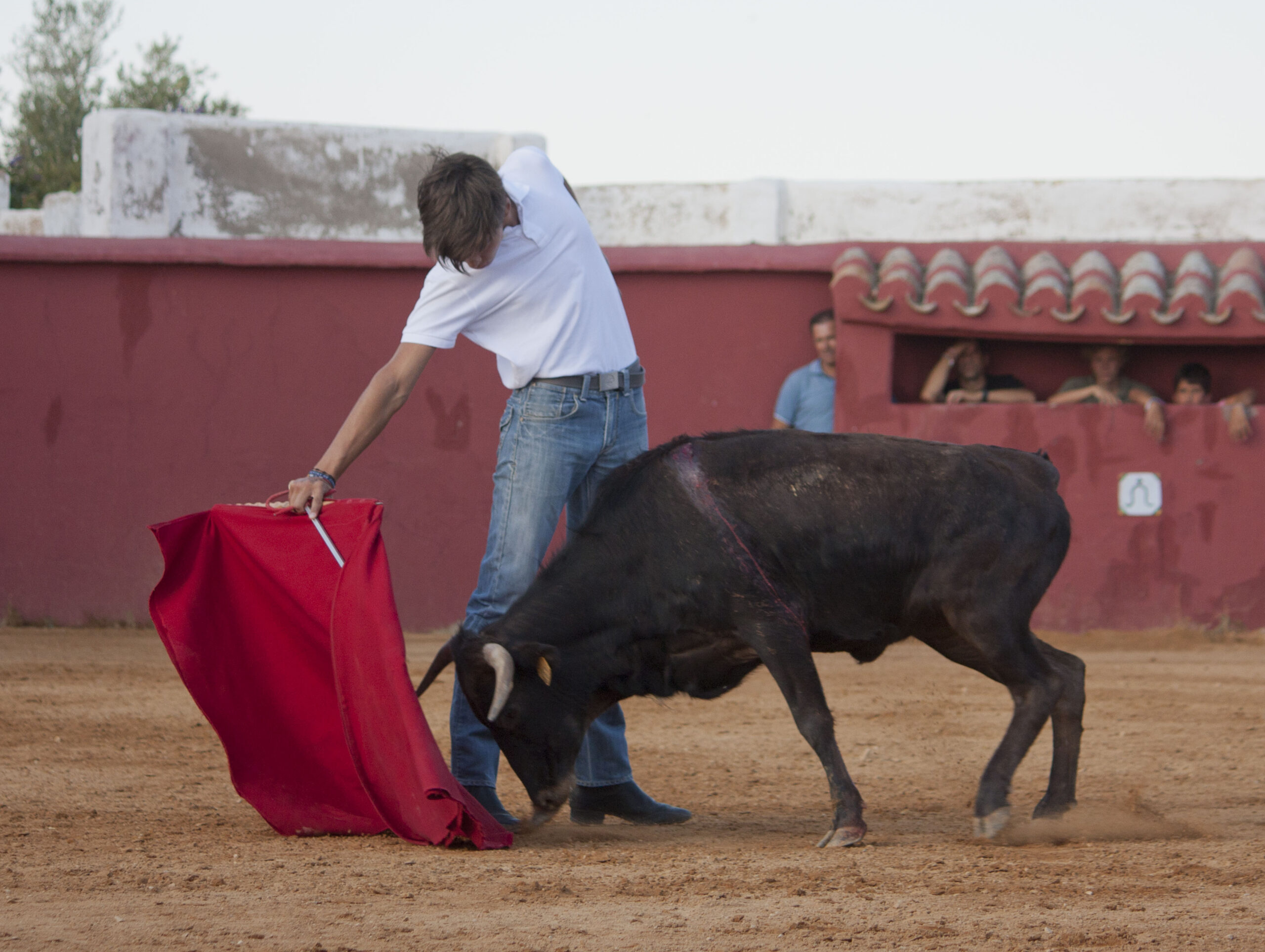 Tentadero en Daniel Ruiz