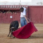 Tentadero en Daniel Ruiz