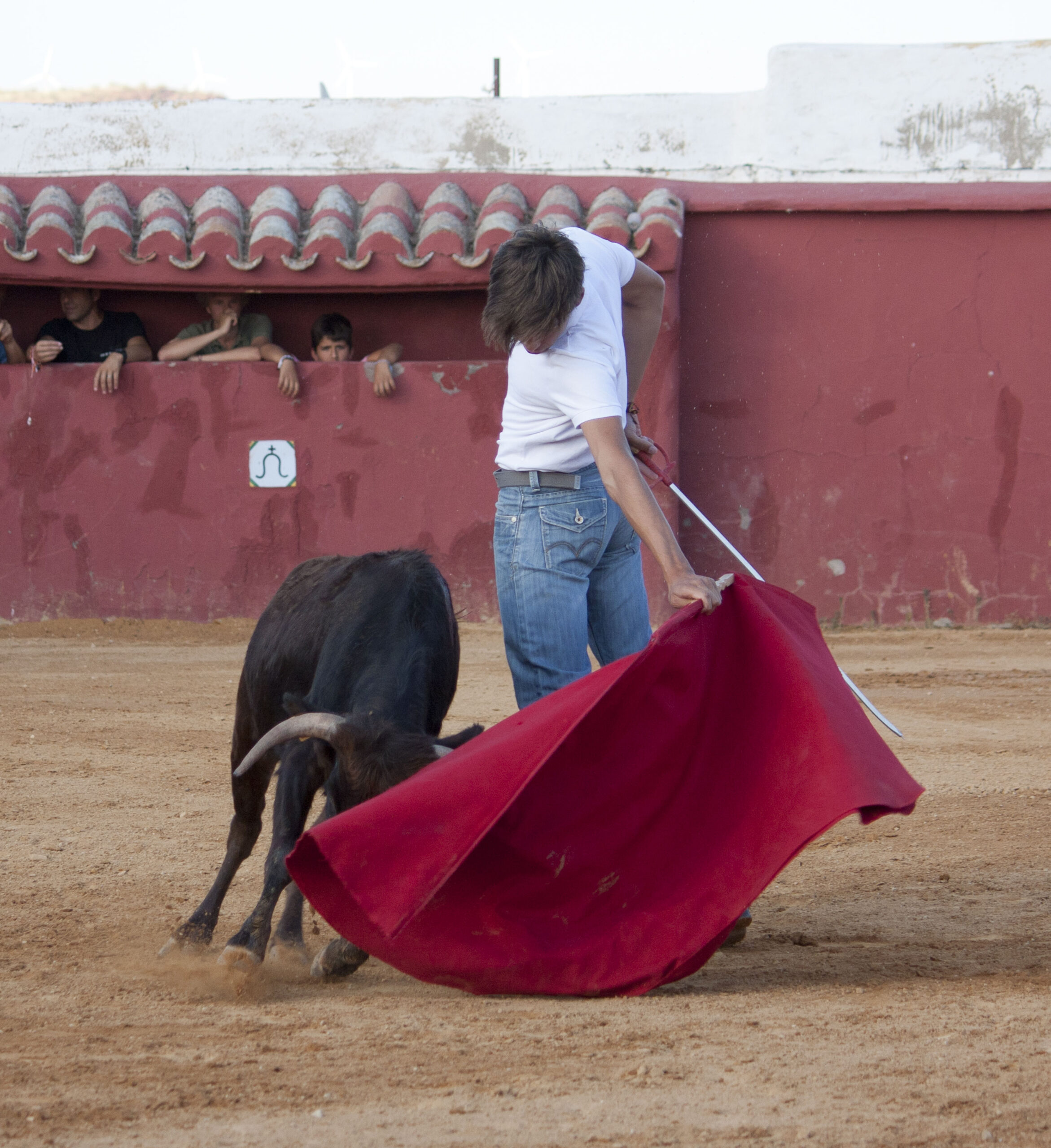 Tentadero en Daniel Ruiz