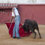 Tentadero en Daniel Ruiz