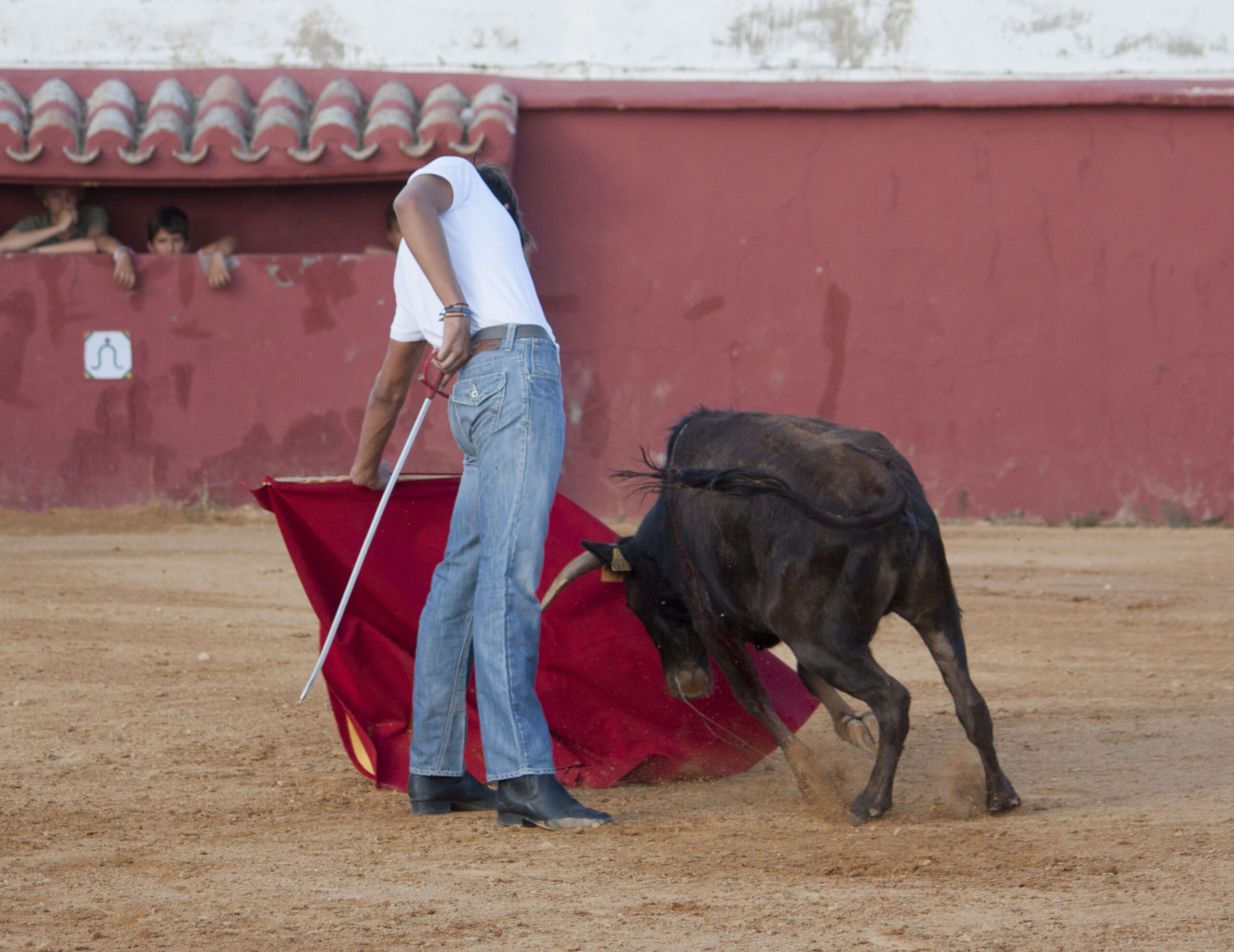Tentadero en Daniel Ruiz