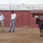 Tentadero en Daniel Ruiz