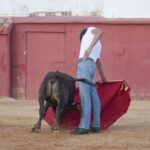 Tentadero en Daniel Ruiz