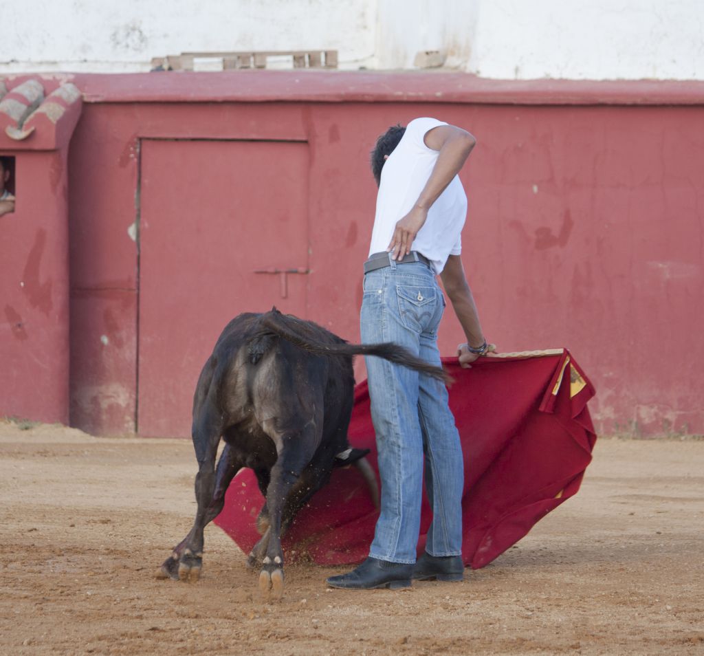 Tentadero en Daniel Ruiz