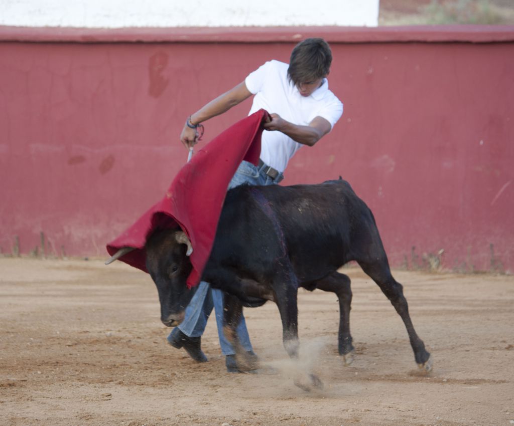 Tentadero en Daniel Ruiz