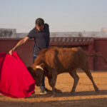 Tentadero en Daniel Ruiz