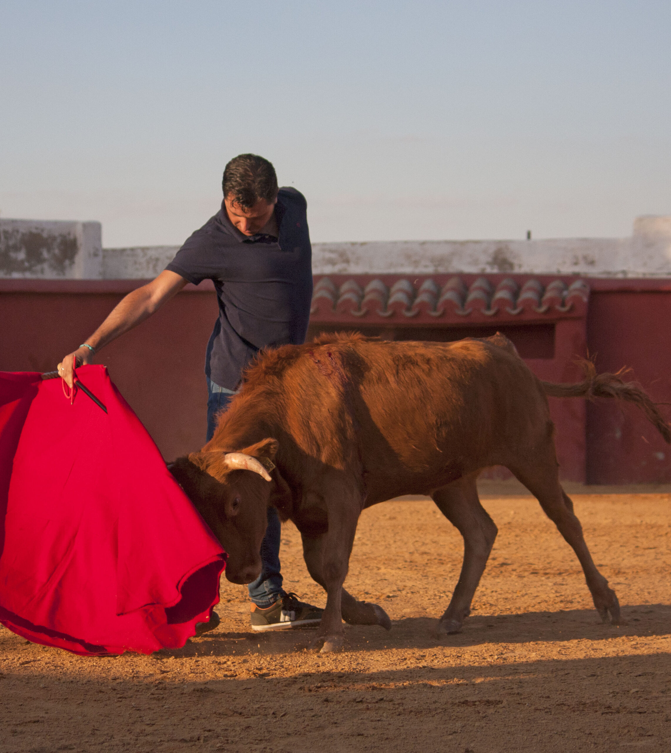 Tentadero en Daniel Ruiz