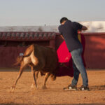 Tentadero en Daniel Ruiz