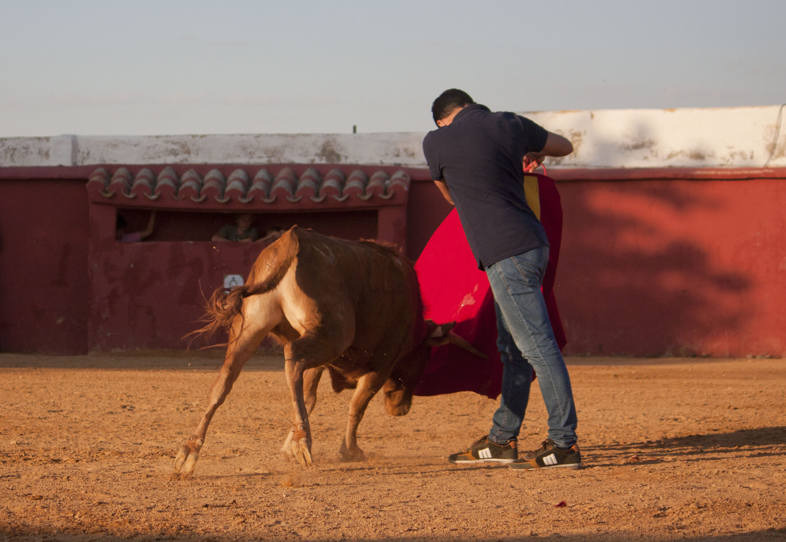Tentadero en Daniel Ruiz