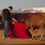 Tentadero en Daniel Ruiz