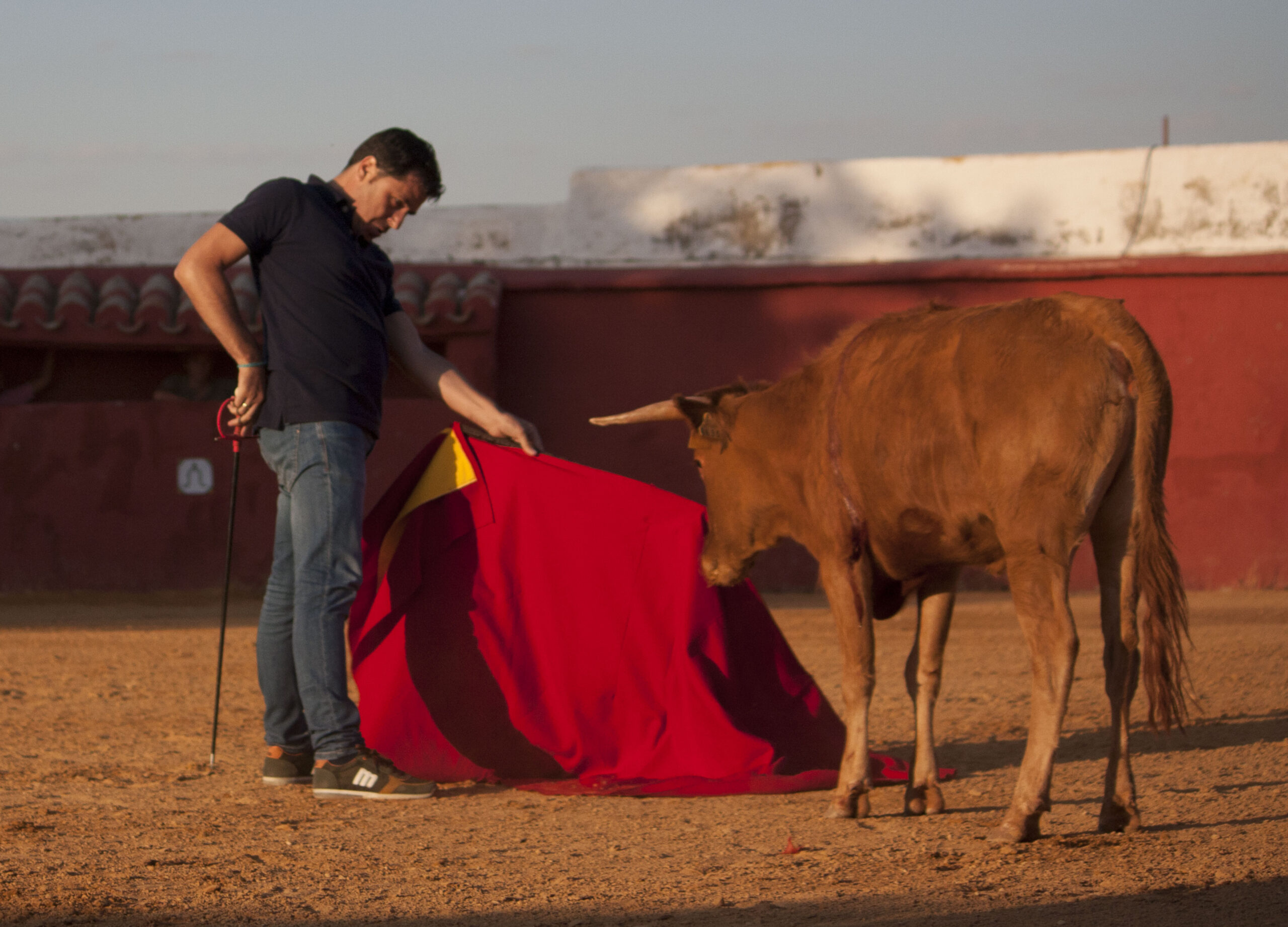 Tentadero en Daniel Ruiz
