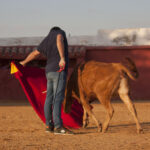 Tentadero en Daniel Ruiz