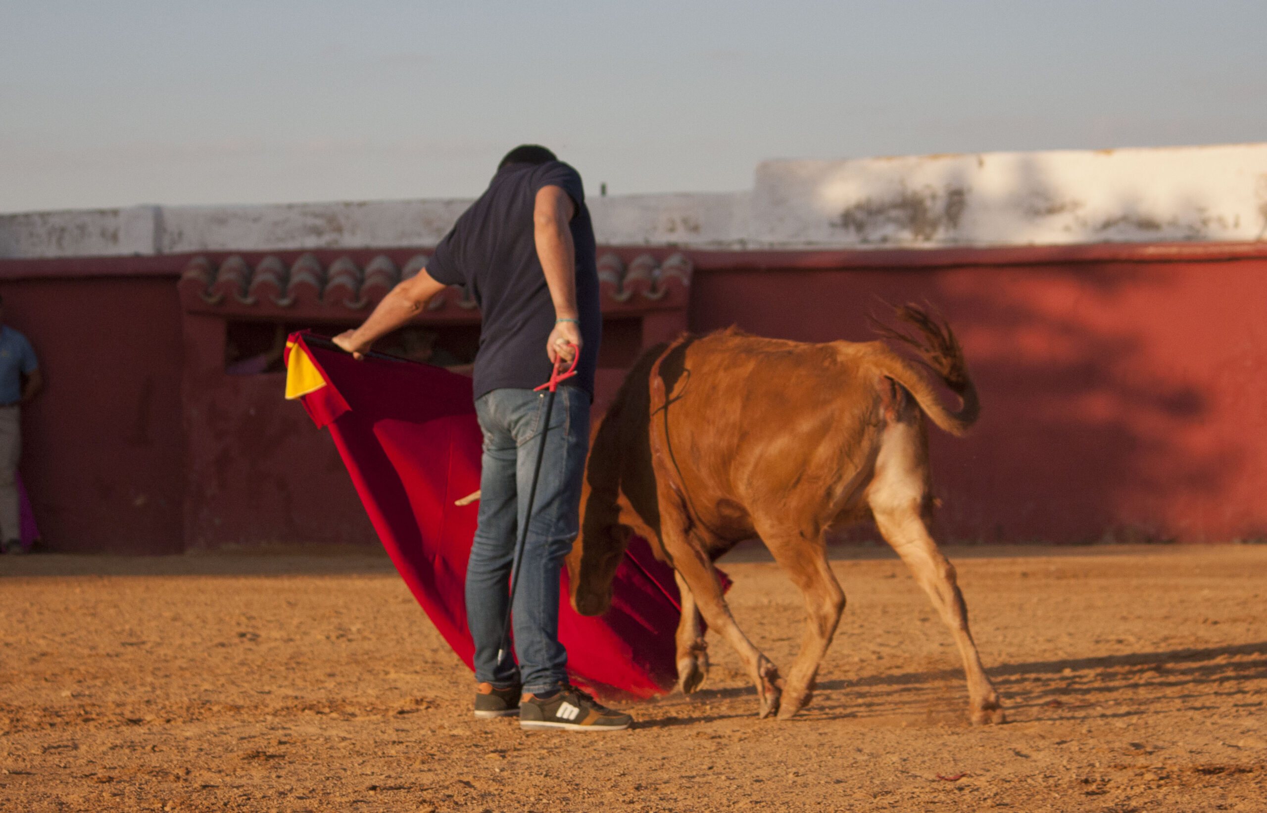 Tentadero en Daniel Ruiz