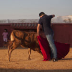 Tentadero en Daniel Ruiz