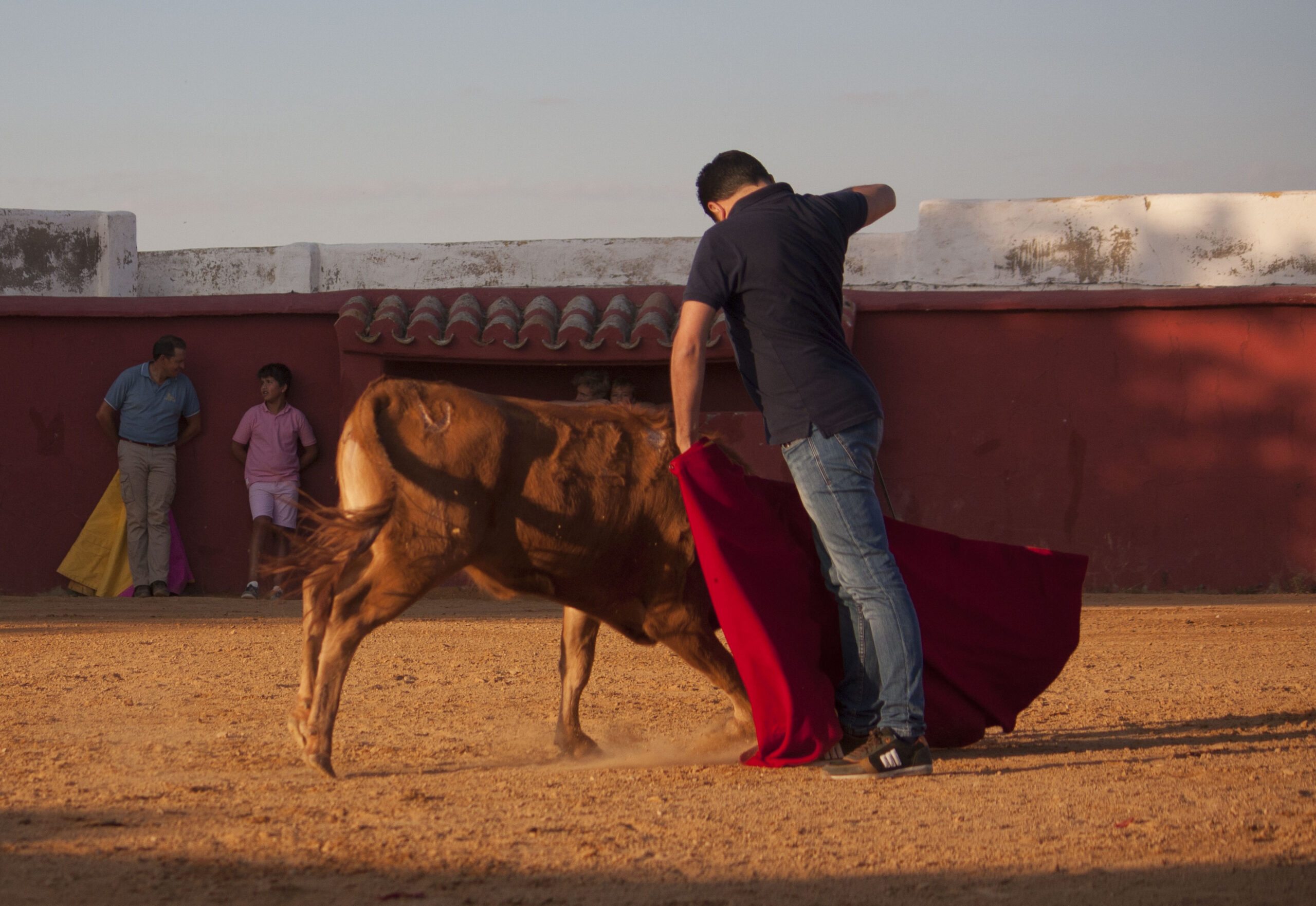 Tentadero en Daniel Ruiz