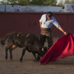 Tentadero en Daniel Ruiz