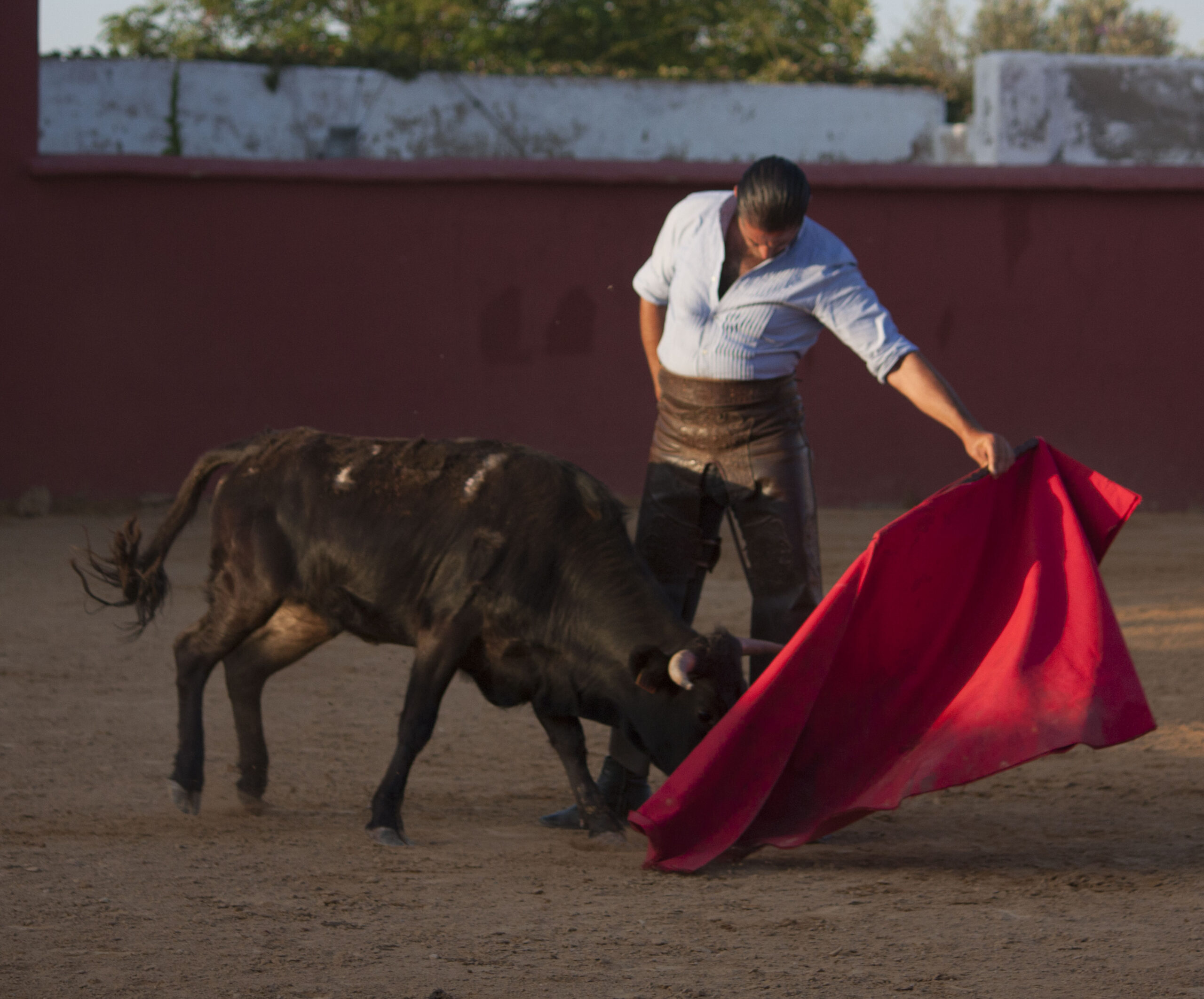 Tentadero en Daniel Ruiz