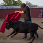 Tentadero en Daniel Ruiz