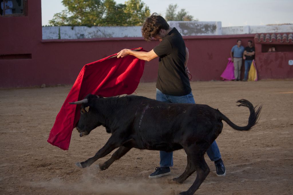 Tentadero en Daniel Ruiz