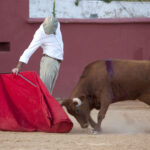 Tentadero en Daniel Ruiz