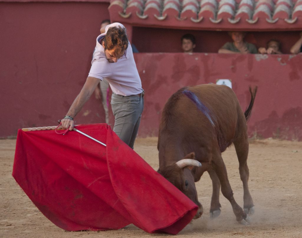Tentadero en Daniel Ruiz