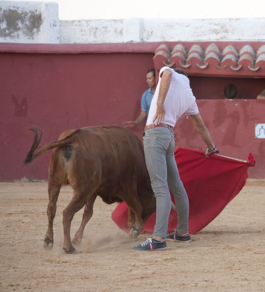 Tentadero en Daniel Ruiz