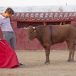 Tentadero en Daniel Ruiz