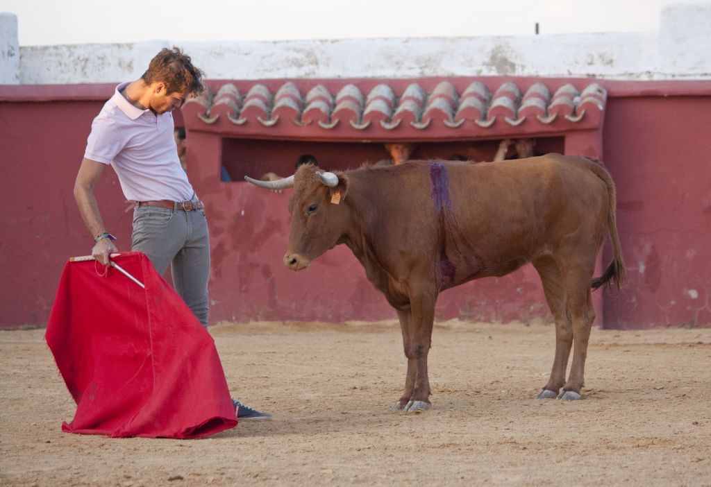 Tentadero en Daniel Ruiz