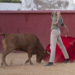 Tentadero en Daniel Ruiz